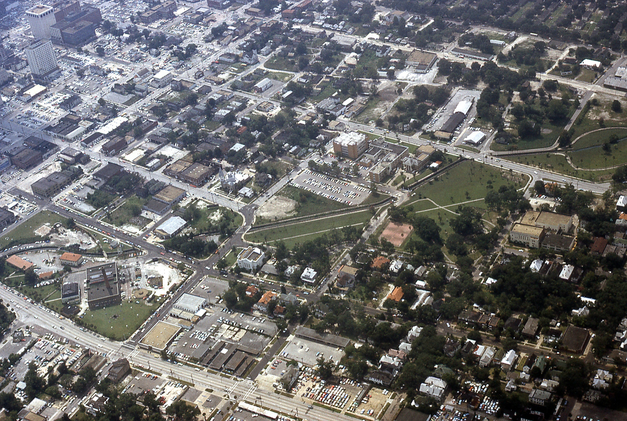 THE JAXSON | The oak tree that remembers Black Bottom — Jacksonville Today, Stillwater Schools news