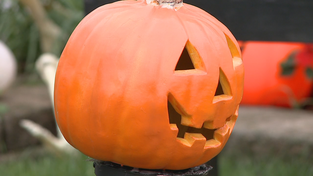 Things to do in Minnesota: 5 things to do this weekend (Oct. 30–Nov. 1) — Stillwater Community news